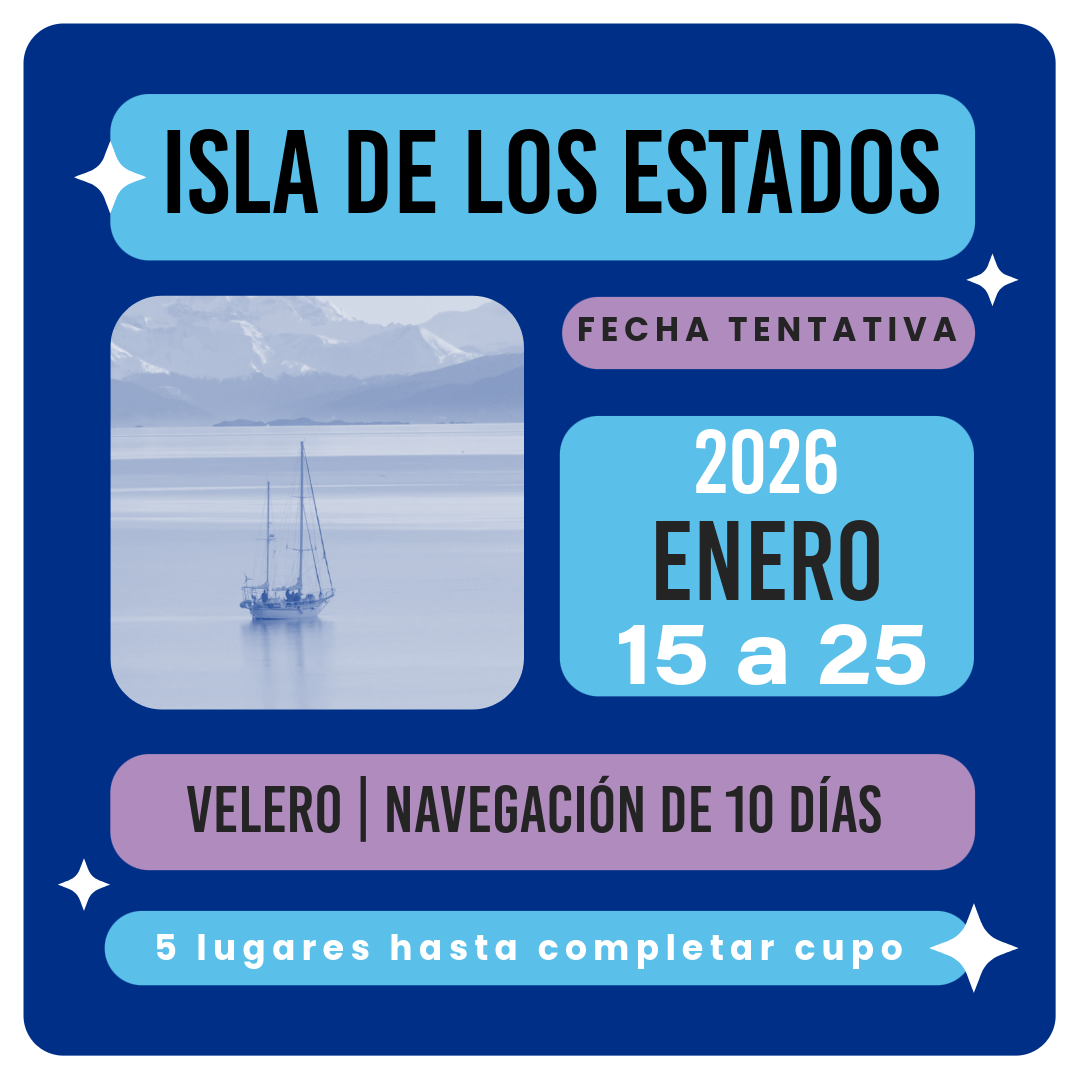 DESTINO ISLA DE LOS ESTADOS – 2026 Navegación exclusiva a bordo de dos Veleros. Prepárate para una travesía única hacia el confín del mundo. Dos fechas exclusivas para zarpar rumbo a la Isla de los Estados, un santuario natural remoto y misterioso, protegido por su belleza salvaje y su rica historia. A bordo del Velero Ksar yotro Velero de similares caractersiticas, vivirás una experiencia de navegación que combina aventura, seguridad y confort, con la guía de capitanes expertos en los canales fueguinos, con más de 30 años explorando estas aguas australes. FECHAS TENTATIVAS Enero 2026: 15 al 25 de Enero de 2026 Febrero 2026: 15 al 25 de Febrero de 2026 Estas fechas son tentativas pero se pueden adaptar dentro del mismo mes calendario. ITINERARIO DE LA TRAVESÍA Día 1 – Embarque en Ushuaia Bienvenida a bordo en el muelle turístico. Briefing de seguridad, asignación de camarotes y salida navegando por el Canal Beagle. Día 2 – Bahía Aguirre (Puerto Español) Anclamos en Bahía Aguirre, rodeados de naturaleza pura, esperando la mejor ventana climática para el cruce del mítico Estrecho de Le Maire. Día 3 – Cruce del Estrecho de Le Maire Atravesamos uno de los pasos más desafiantes y fascinantes del planeta, entre olas, corrientes y la adrenalina de una navegación legendaria. Días 4 al 8 – Exploración de la Isla de los Estados Visitas a Puerto Parry, hogar de la única población estable de la isla; caminata hacia el Faro de San Juan de Salvamento, el auténtico “Faro del Fin del Mundo” que inspiró a Julio Verne; avistaje de fauna marina como lobos, pingüinos de penacho amarillo, albatros y elefantes marinos. Día 9 – Regreso a Tierra del Fuego Navegamos de regreso, atravesando el estrecho y el Canal Beagle, disfrutando de las últimas vistas de esta joya austral. Día 10 – Desembarque en Ushuaia Despedida y cierre de una expedición inolvidable. El itinerario puede cambiar en tiempo real según decisiones de los capitanes y la meteorología. QUÉ INCLUYE Navegación de 10 días y 9 noches Tripulación profesional y guías expertos Alojamiento en cabinas dobles compartidas Comidas completas a bordo Equipos de seguridad y comunicación satelital. Internet a Bordo Starlink SOBRE LA ISLA La Isla de los Estados, llamada Chuanisin (“tierra de la abundancia”) por los pueblos yámanas, es un patrimonio ecológico, histórico y turístico protegido por ley. Superficie: 50.736 hectáreas Clima: frío oceánico, muy húmedo, con fuertes vientos Fauna: pingüinos penacho amarillo, lobos marinos, petreles gigantes, huillines y más de 100 especies de aves Paisajes: fiordos, bosques siempreverdes, bahías escondidas y costas escarpadas que parecen salidas de un sueño TARIFAS Y RESERVAS Precio por persona: USD 2.500 Reserva anticipada: USD 500 Saldo final a abonar 30 días antes de la zarpada Cupos limitados a 5 pasajeros por Velero Ksar y 6 Pasajeros para el Velero extra. Reserva con anticipación para no quedarte afuera de esta experiencia única en el mundo. CONSULTAS Para más información o para confirmar tu lugar, escribinos a: Correo electrónico: info@veleroksar.com VIVÍ LA AVENTURA El Velero Ksar no es solo un barco. Es tu puerta de entrada a lo desconocido, un viaje a la esencia más pura de Tierra del Fuego y la Patagonia Austral. Isla de los Estados 2026. Dos fechas. Una experiencia irrepetible.
